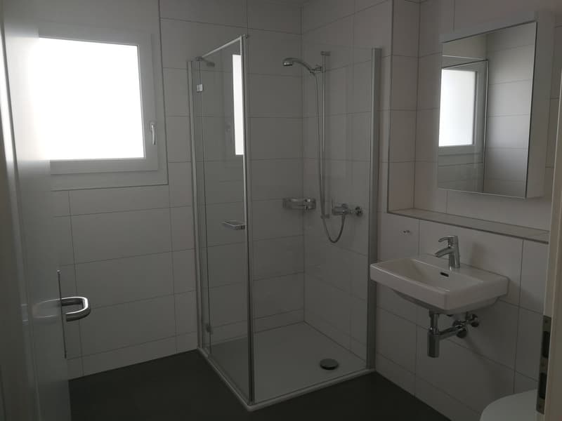 Nachmieter gesucht: Helle 5.5-Zimmer-Wohnung mit Balkon und Weitsicht in Lupfig (9)