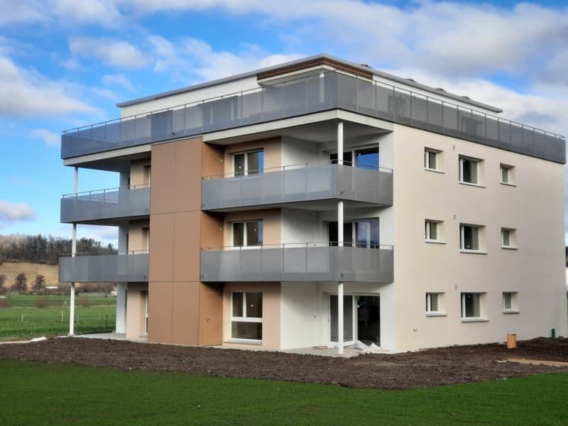 Nachmieter gesucht: Helle 5.5-Zimmer-Wohnung mit Balkon und Weitsicht in Lupfig (3)