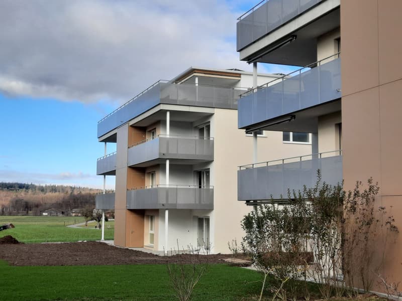 Nachmieter gesucht: Helle 5.5-Zimmer-Wohnung mit Balkon und Weitsicht in Lupfig (5)