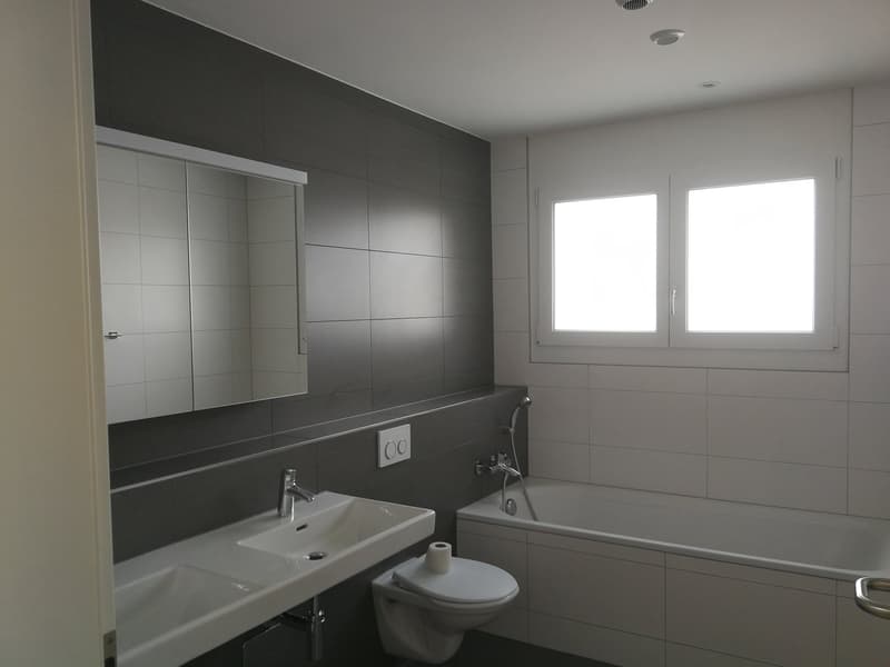 Nachmieter gesucht: Helle 5.5-Zimmer-Wohnung mit Balkon und Weitsicht in Lupfig (10)
