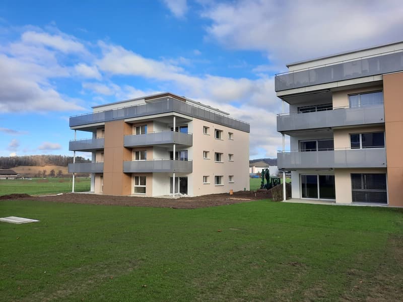 Nachmieter gesucht: Helle 5.5-Zimmer-Wohnung mit Balkon und Weitsicht in Lupfig (4)