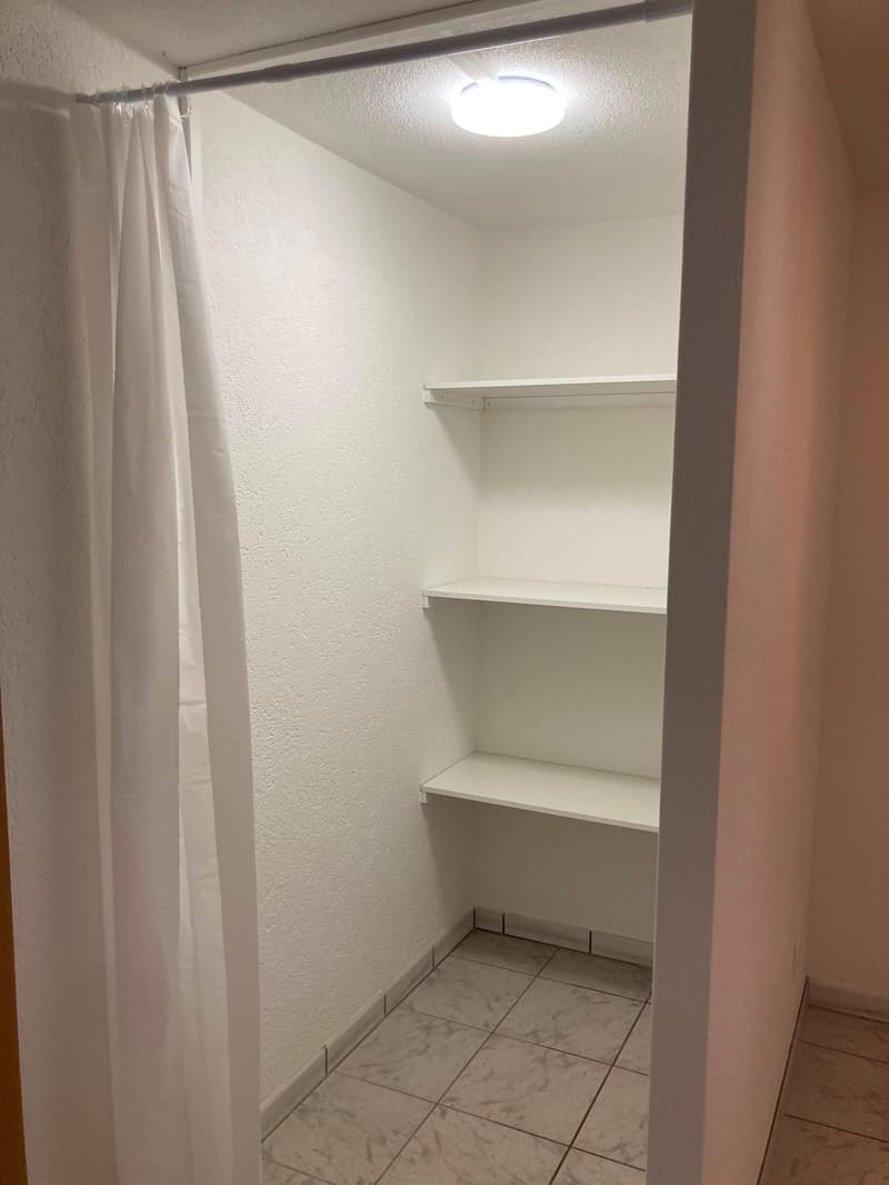 Renovierte & charmante 2.5-Zimmer-Einliegerwohnung an ruhiger Lage (8)