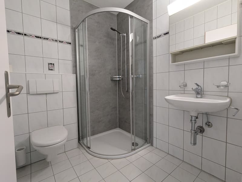 Appartement spacieux de 4,5 pièces au rez-de-chaussée avec deux serres d'hiver (12)