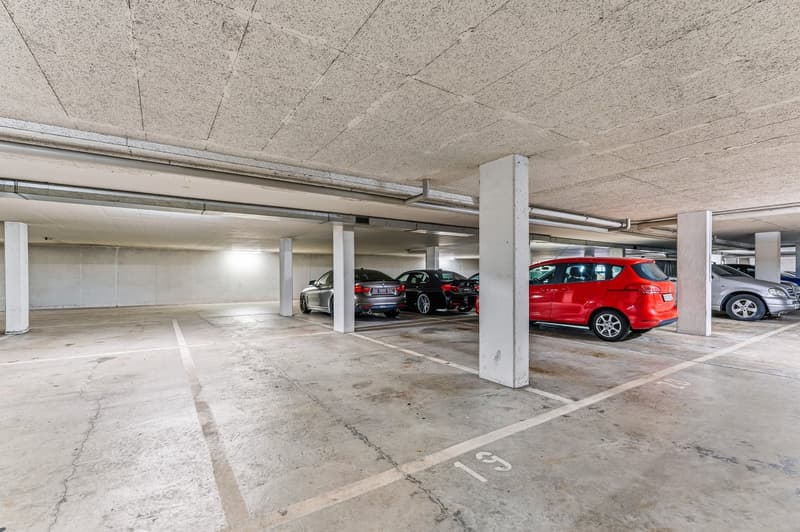 Charmante 5.5-Zimmer-Maisonette-Wohnung in Villmergen – sofort verfügbar! (15)