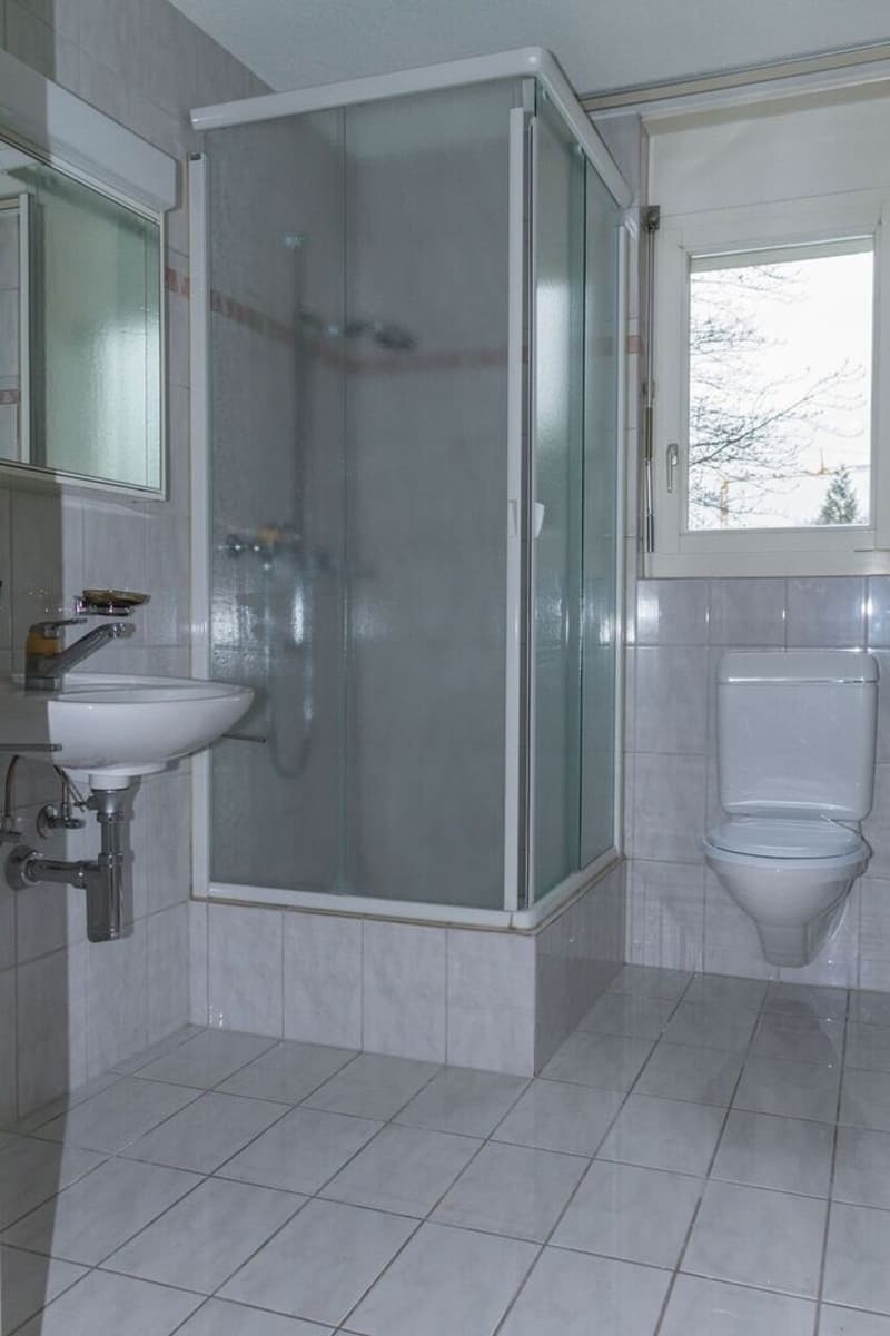 Helle 4.5-Zimmer-Wohnung mit Balkon und Cheminée in Boswil (5)