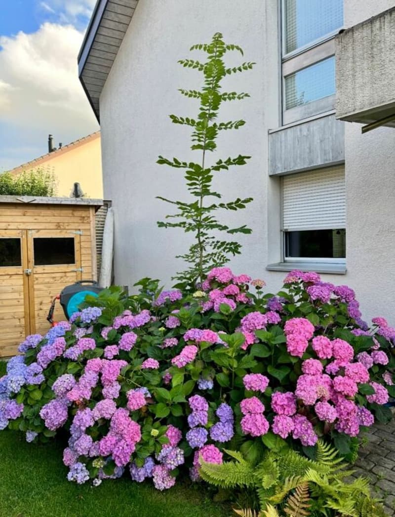 Reihenhaus mit Gartenoase - Zuhause in Zollikofen (23)