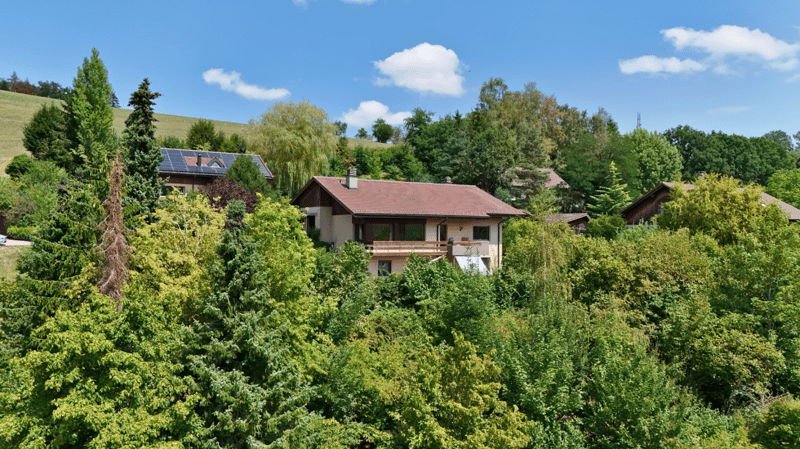 Ein Zuhause mit Raum für Leben, Familie und neue Ideen (12)