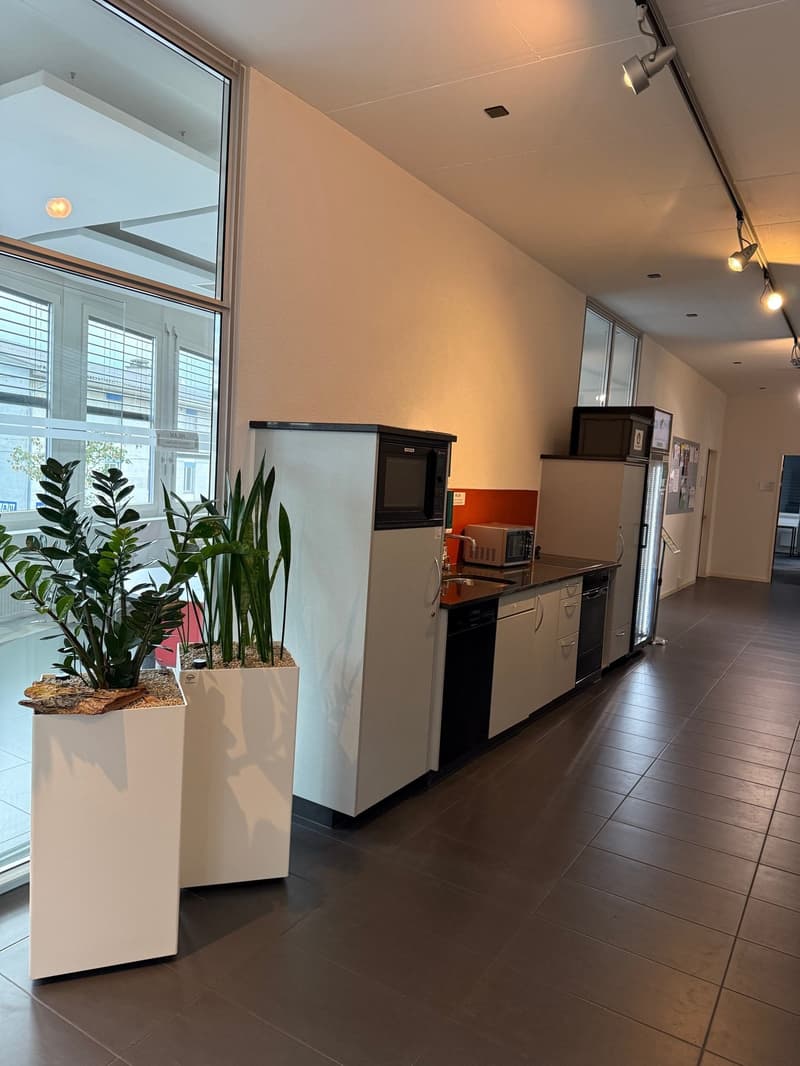 small kitchen, white cabinets, stainless steel sink, microwave, mini fridge, dishwasher, 2 potted plants