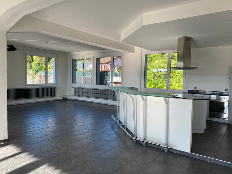 Appartement loft exclusif avec vue panoramique (5)