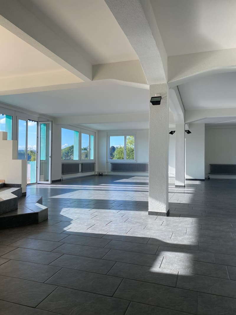 Appartement loft exclusif avec vue panoramique (3)