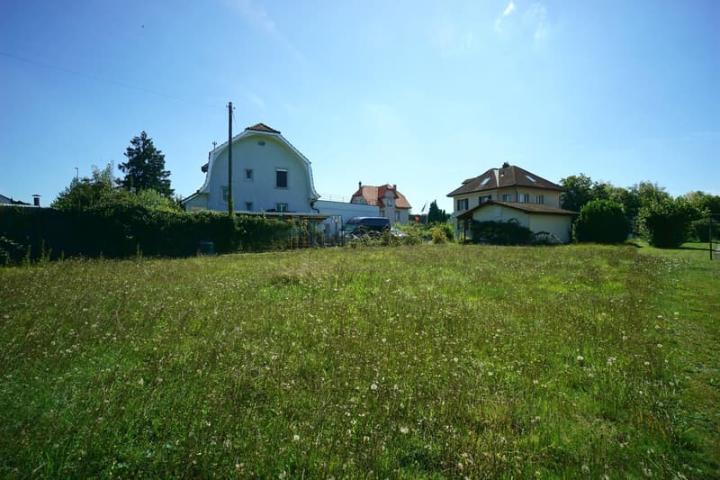 Large lawn with two houses in the background