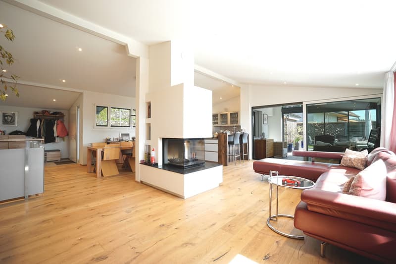 modern living room, hardwood floor, fireplace, large windows, dining table, leather couch, coffee table