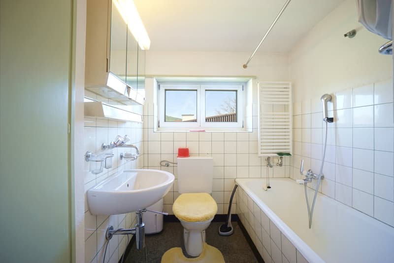 Idyllic 5.5-room single-family house with well-kept surroundings, biotope, and garage (11)