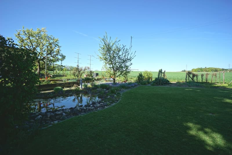 Idyllic 5.5-room single-family house with well-kept surroundings, biotope, and garage (3)