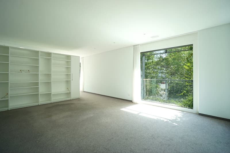 Spacious 4.5-room apartment in the center of Villmergen with large terrace (6)
