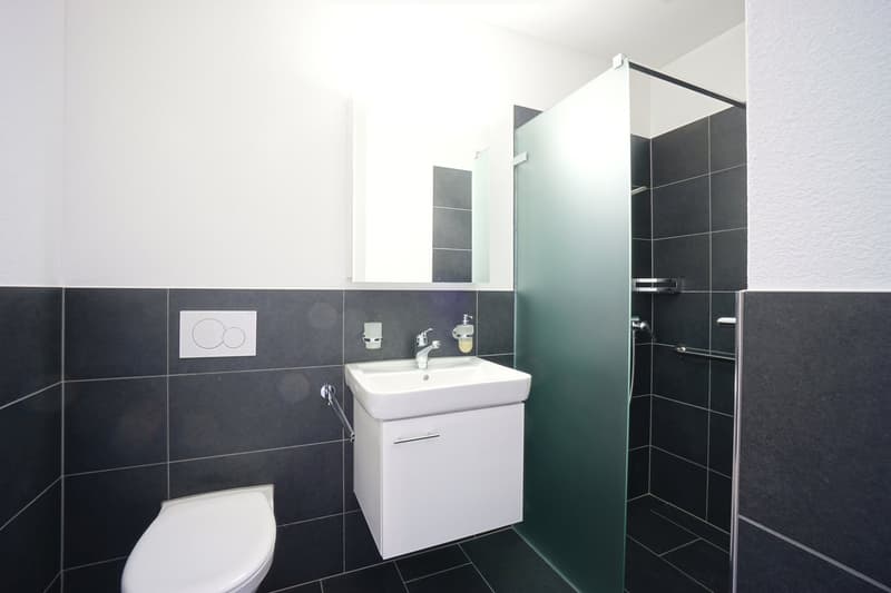 Spacious 4.5-room apartment in the center of Villmergen with large terrace (12)