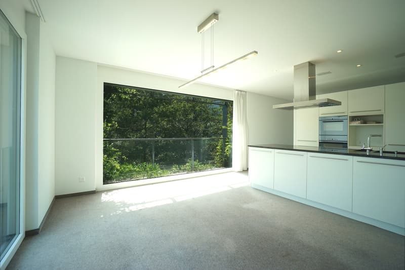 Spacious 4.5-room apartment in the center of Villmergen with large terrace (4)