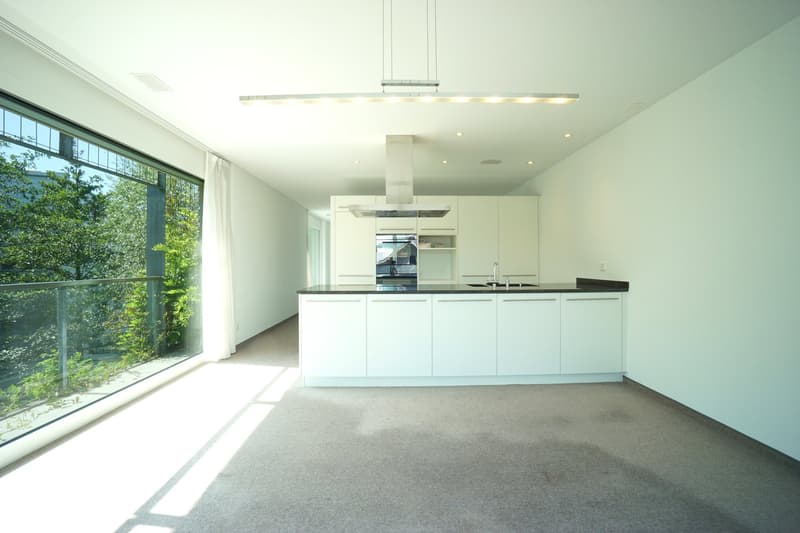 Spacious 4.5-room apartment in the center of Villmergen with large terrace (2)