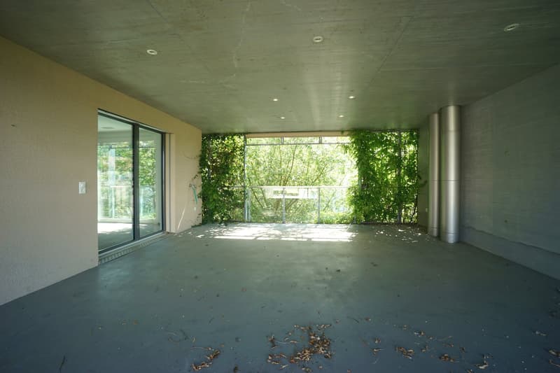 Spacious 4.5-room apartment in the center of Villmergen with large terrace (17)