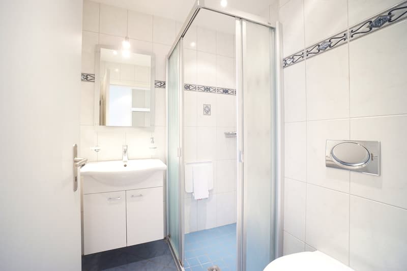 Bel appartement 5.5 pièces au 1er étage avec balcon, local de cave et deux places de parking (11)