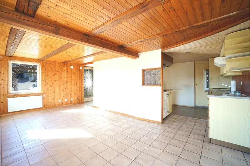 Maison unifamiliale dépendante de 4,5 pièces dans un cadre rural idyllique avec potentiel d'agrandissement et de rénovation ! (5)