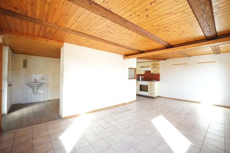 Maison unifamiliale dépendante de 4,5 pièces dans un cadre rural idyllique avec potentiel d'agrandissement et de rénovation ! (6)