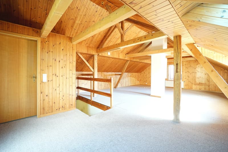 Maison unifamiliale dépendante de 4,5 pièces dans un cadre rural idyllique avec potentiel d'agrandissement et de rénovation ! (16)