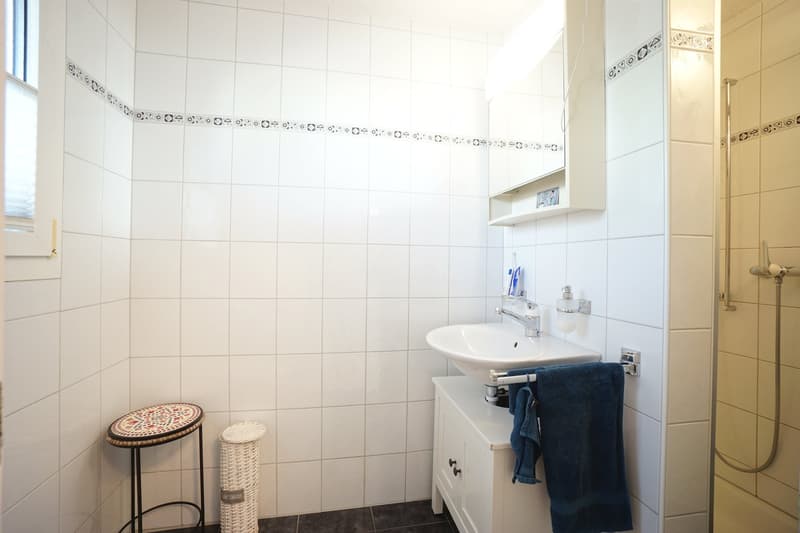 Sunny 5.5-room semi-detached house with spacious garden, hobby room, and garage (13)