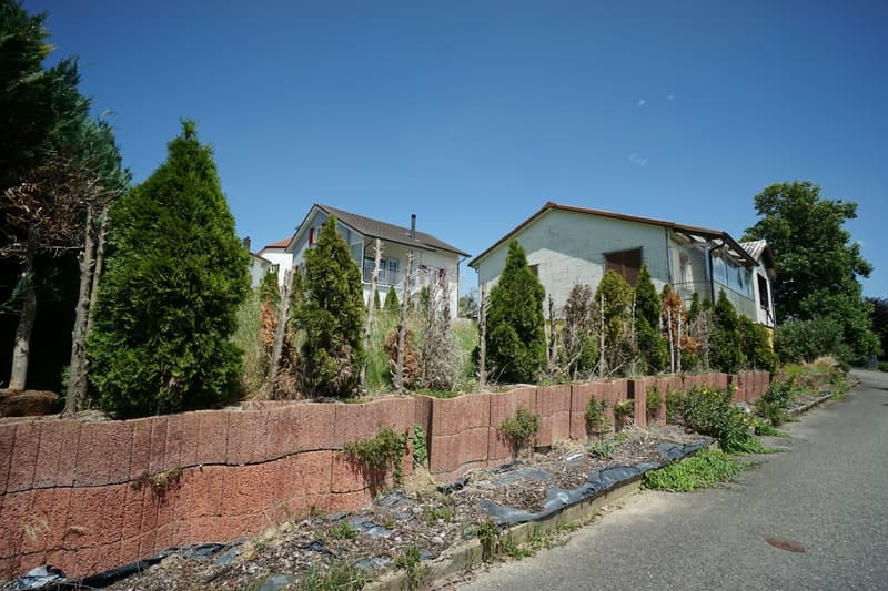 Interesting building land or renovation project in a very good and family-friendly location (7)