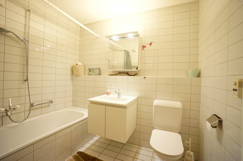 Gepflegte 2.5 Zimmer-Gartenwohnung an attraktiver und sonniger Lage mit grossem Garten (8)
