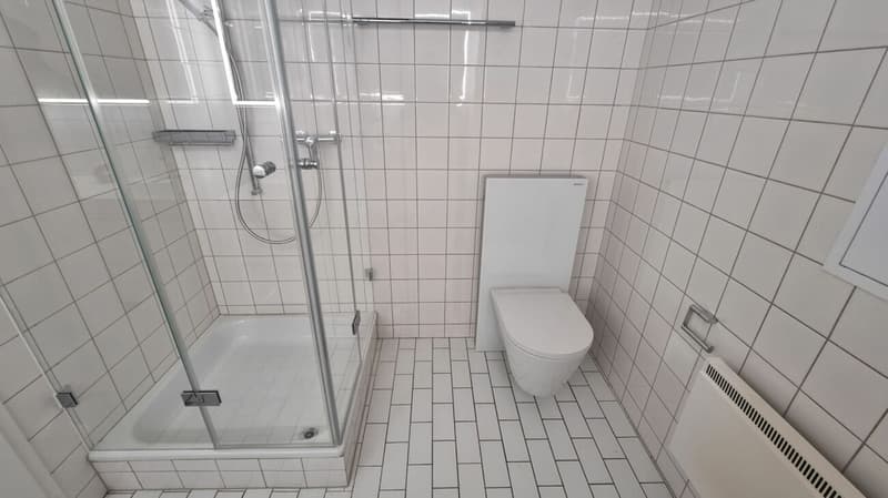 Appartement rustique de 2,5 pièces dans la vieille ville de Solothurn (7)