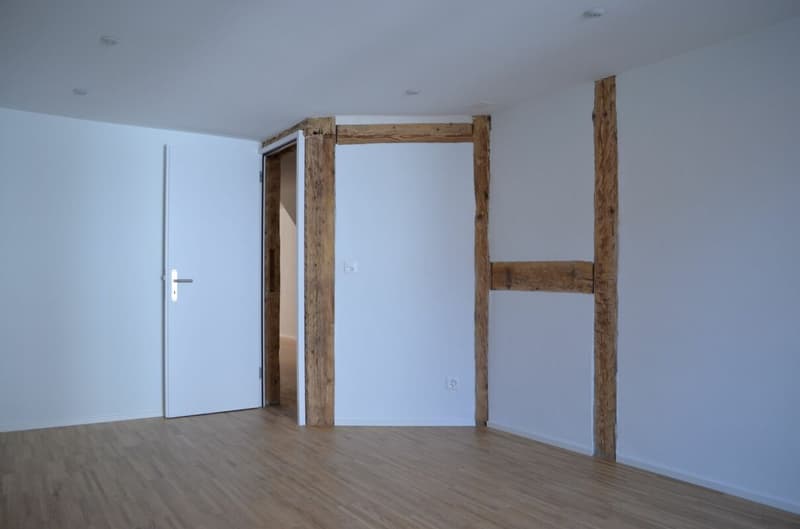 Appartement de ville ancienne avec charme (8)