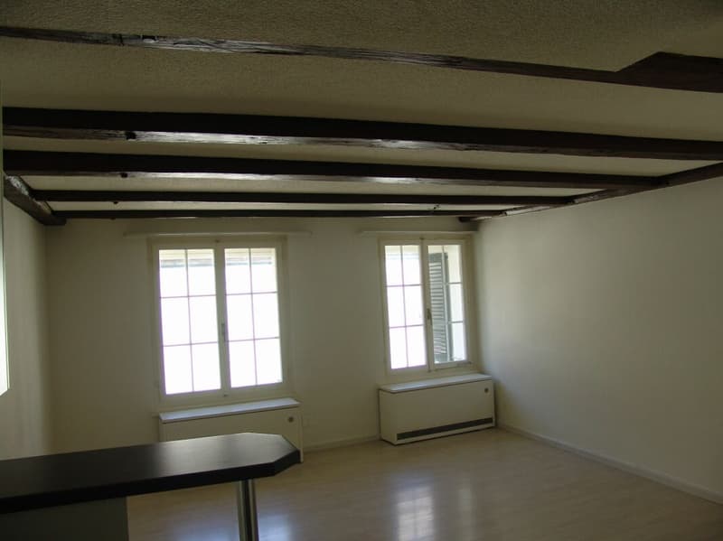 Studio apartment in the old town (7)