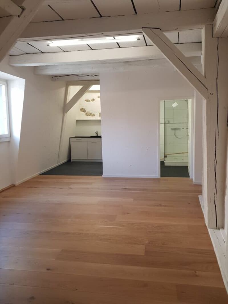 Beautiful old town apartment (1)