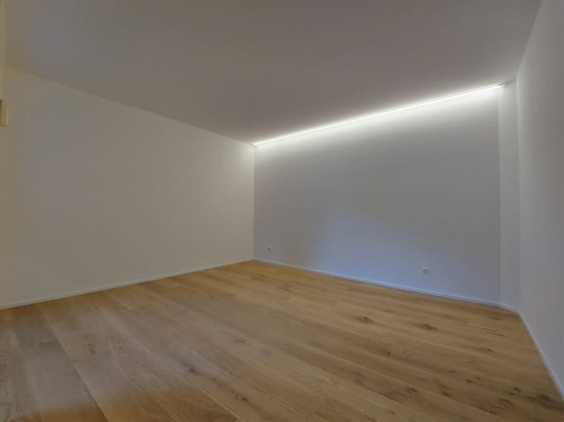 Grosszügige 2.5-Zimmerwohnung in der Altstadt (9)