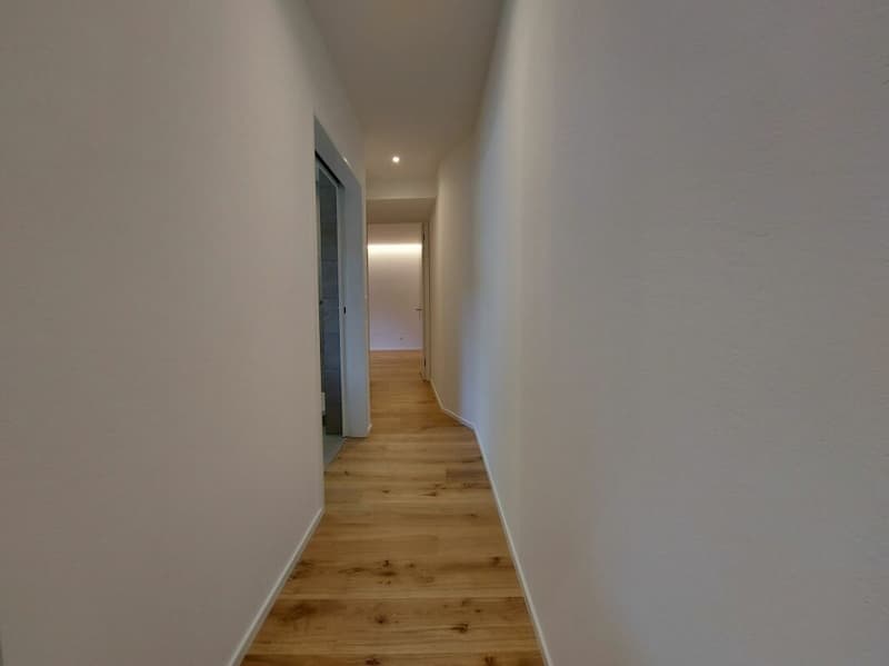 Grosszügige 2.5-Zimmerwohnung in der Altstadt (10)