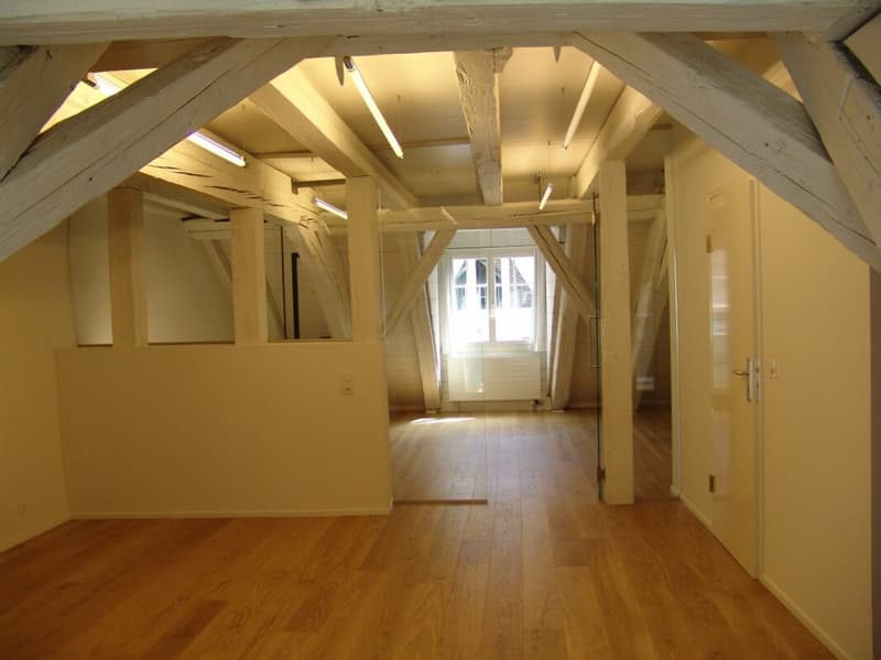 Duplexwohnung mit Balkon in der Altstadt (7)