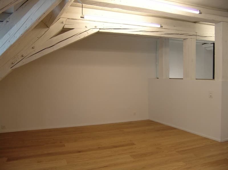 Duplexwohnung mit Balkon in der Altstadt (6)