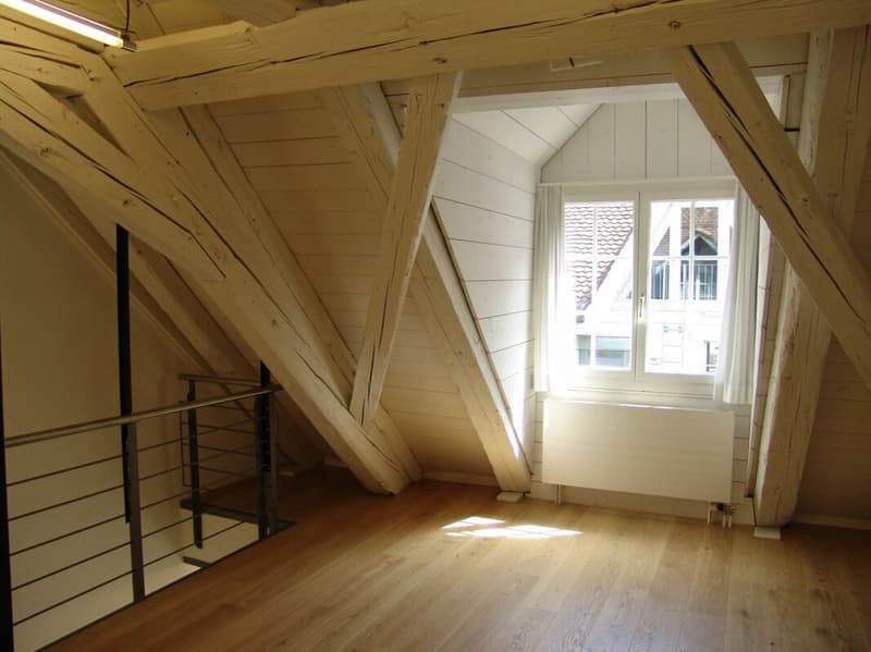 Duplexwohnung mit Balkon in der Altstadt (5)