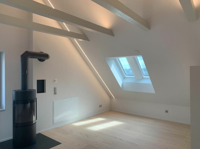 Sanierte Studiowohnung im Dachgeschoss (6)