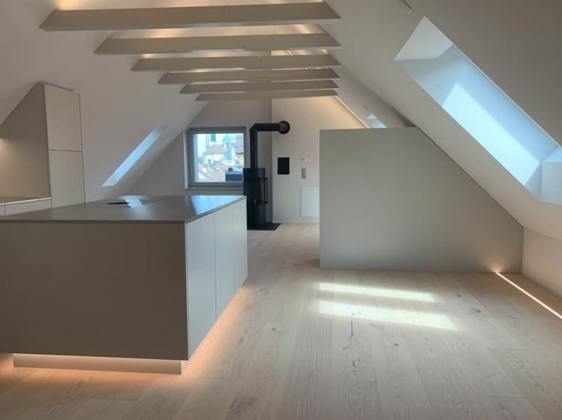 Sanierte Studiowohnung im Dachgeschoss (2)