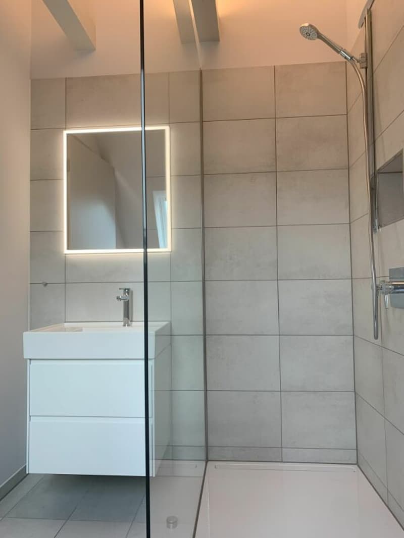 Sanierte Studiowohnung im Dachgeschoss (12)