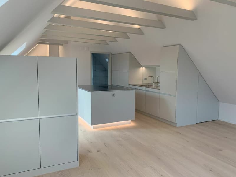Sanierte Studiowohnung im Dachgeschoss (8)
