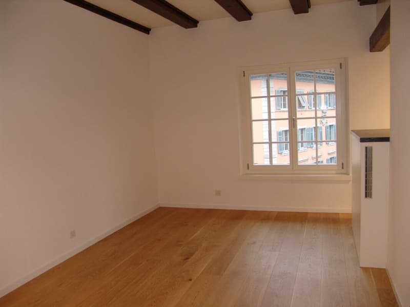 Wohnung mit Sicht auf die St. Ursenkathedrale (4)