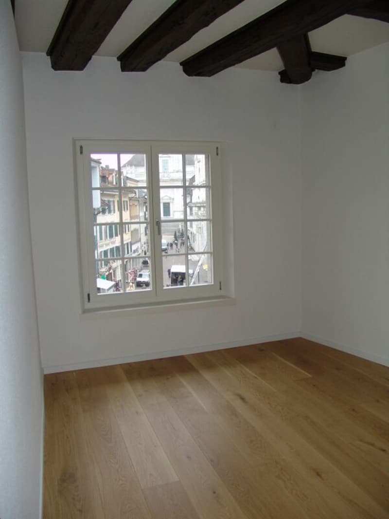 Wohnung mit Sicht auf die St. Ursenkathedrale (7)