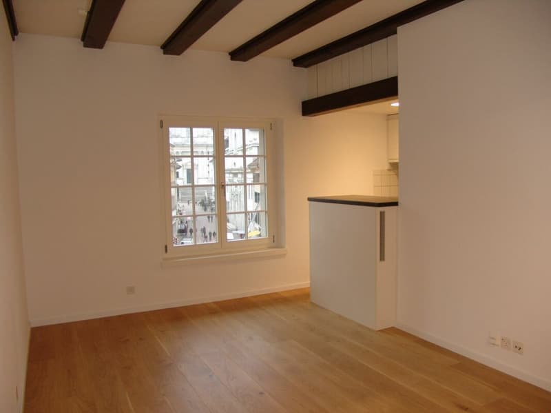 Wohnung mit Sicht auf die St. Ursenkathedrale (1)