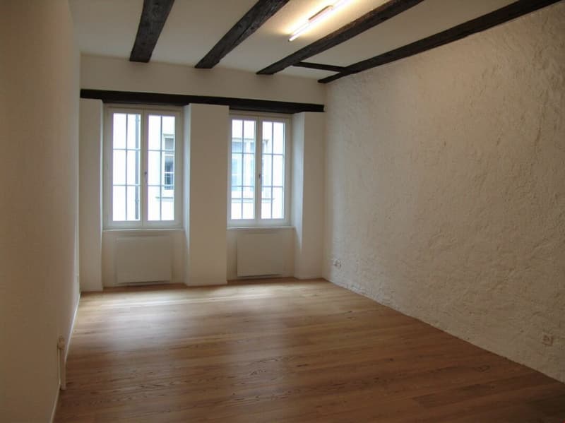 Schöne renovierte Altstadtwohnung (4)