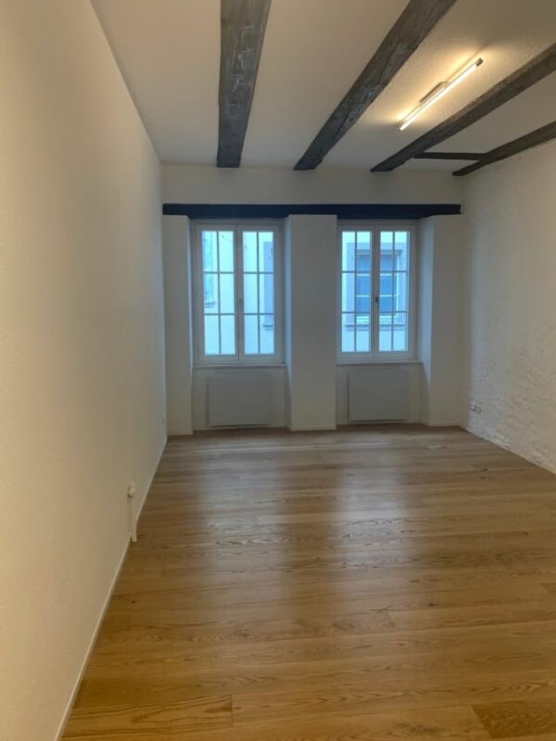 Schöne renovierte Altstadtwohnung (5)