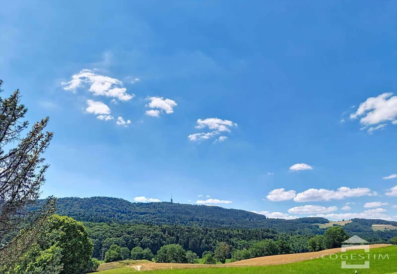 Villa individuelle rénovée avec vaste parcelle et vue dégagée (3)