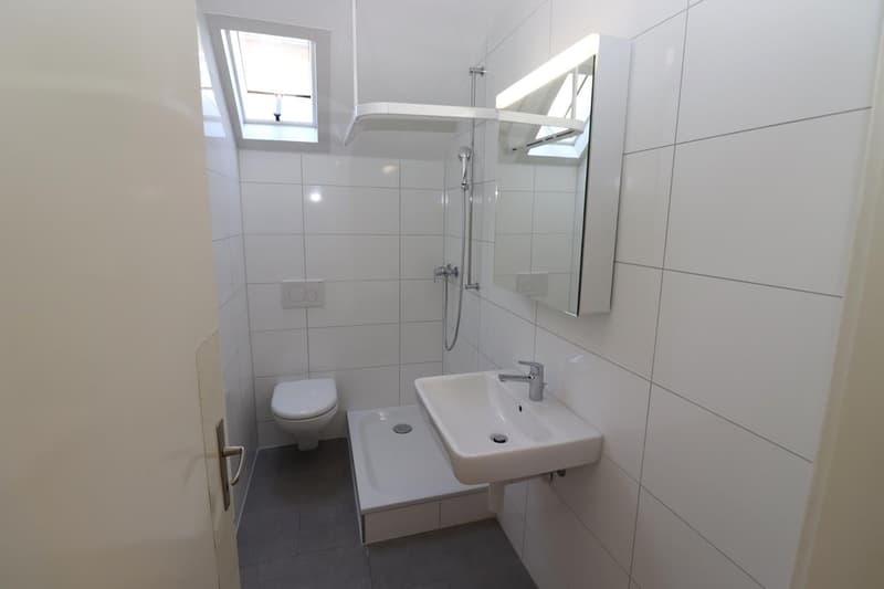 Charmante renovierte 4.5-Zimmer-Dachwohnung (5)